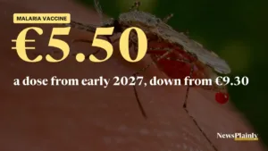 Anopheles mosquito on skin, the malaria carrier, as the malaria vaccine price falls
