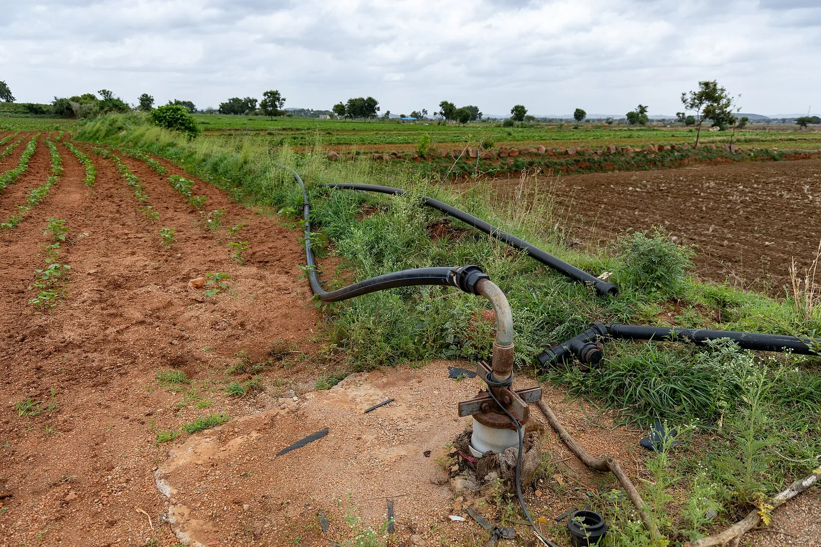 Borewell pump and pipes in a farm field, like the pump sets drying up in Telangana
