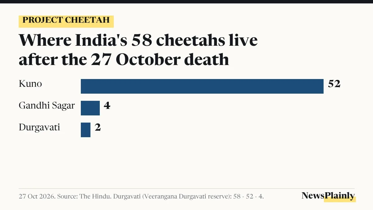 Project Cheetah card: Kuno 52, Gandhi Sagar 4, Veerangana Durgavati 2 cheetahs