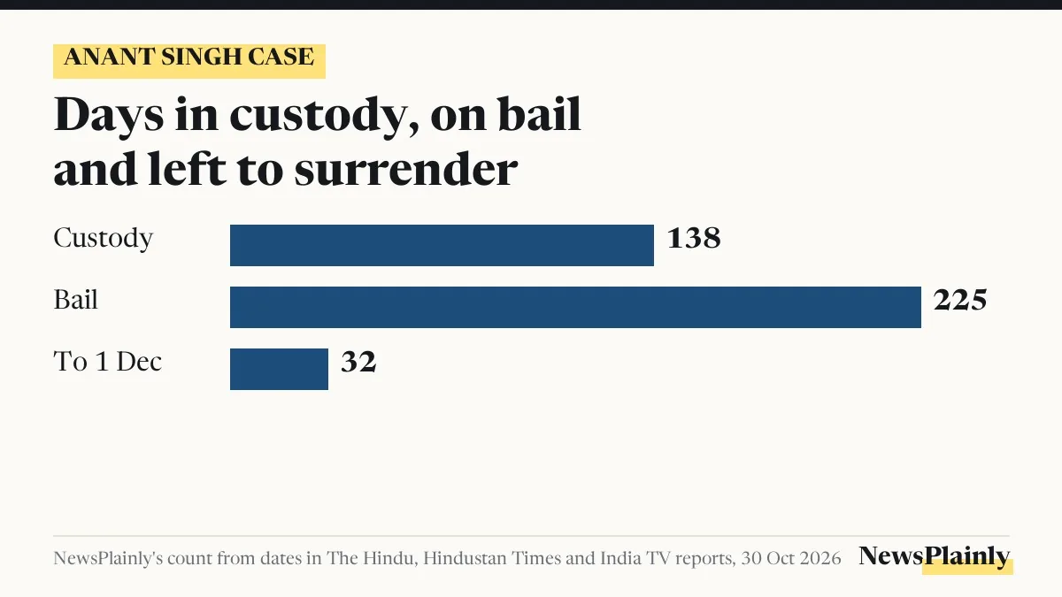 Bar chart of days in custody, on bail and left to surrender in the Anant Singh bail case
