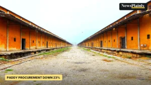 Central Warehousing Corporation godowns in Muzaffarnagar used for FCI grain, file photo for paddy procurement story