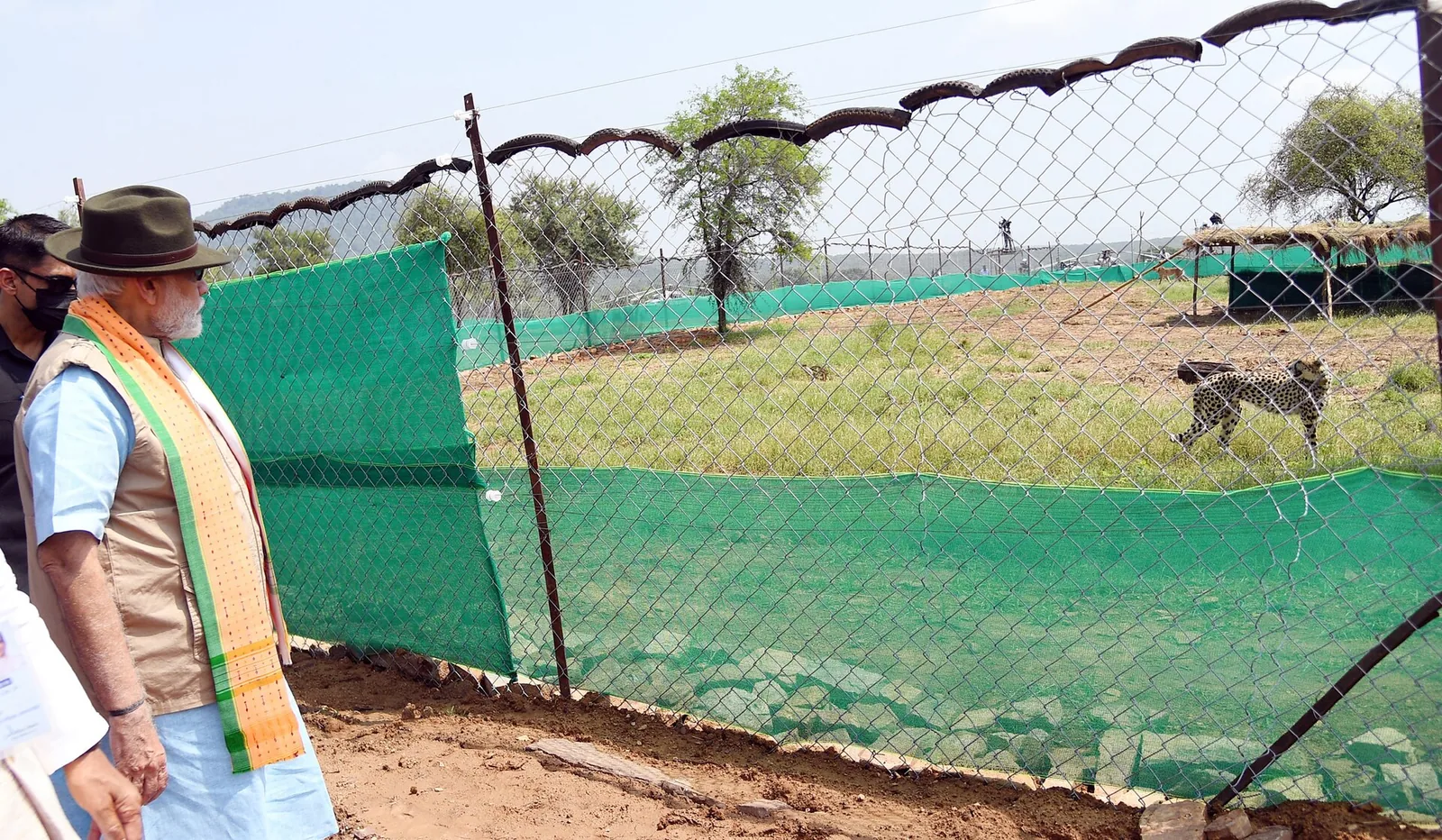 Prime Minister Narendra Modi watches a cheetah in a Kuno National Park enclosure, 17 September 2022