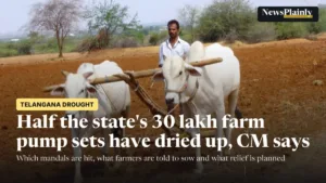 Farmer ploughing a dry field with bullocks in Mahabubnagar, an area facing Telangana drought