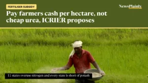 Farmer spreading fertiliser in a field, as ICRIER proposes fertiliser subsidy reform