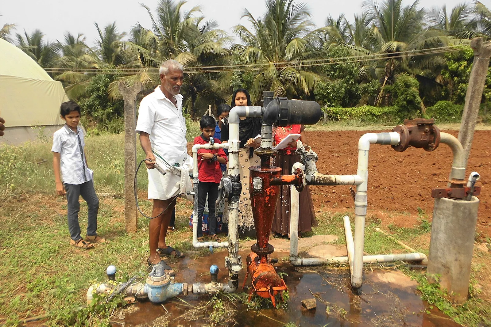 Fertigation pipes in a farm at Perumatty, Kerala, a practice the fertiliser subsidy study backs