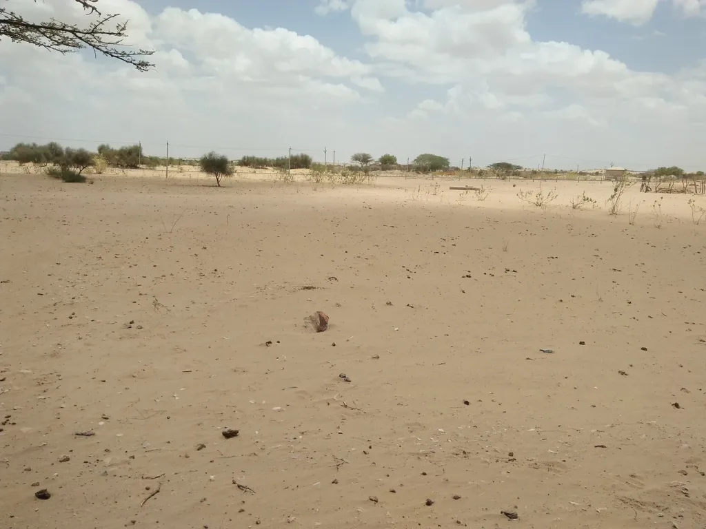 File photo of dry sandy land in a Barmer village, one of the Rajasthan drought districts