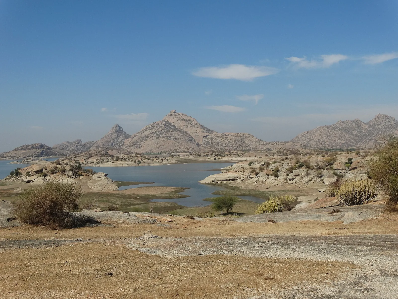 File photo of Jawai Dam in Pali district, Rajasthan, with exposed rocky banks