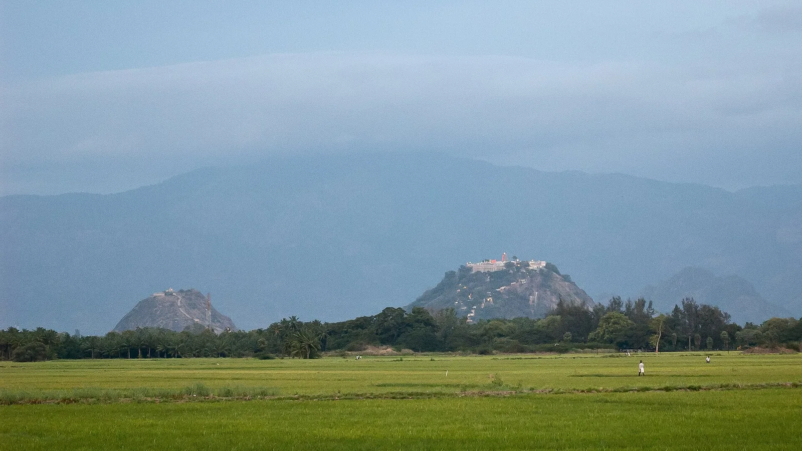 Palani hills with the hilltop Murugan temple seen across paddy fields, 2011 file photo