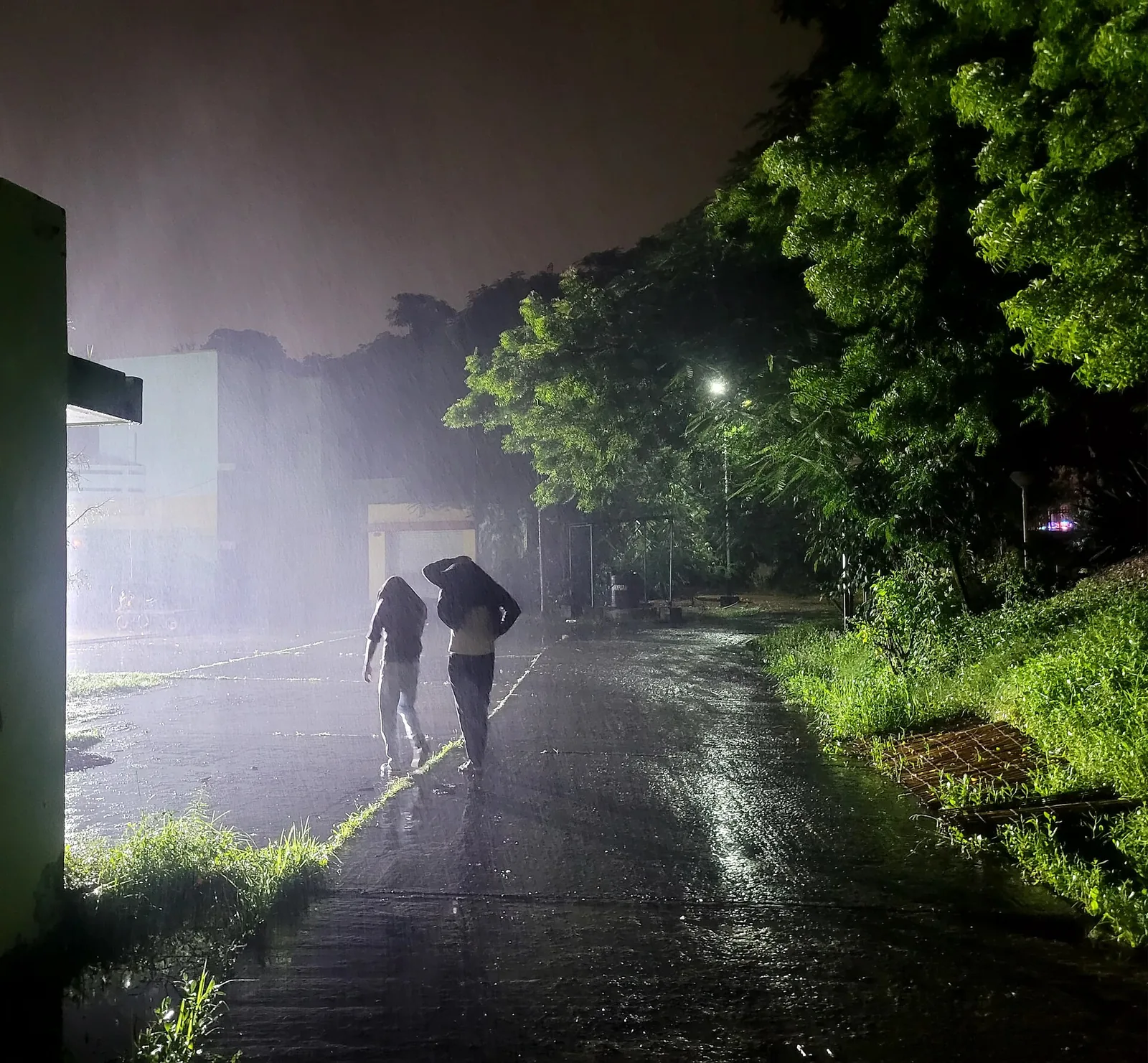 SRFTI Kolkata campus road in heavy rain at night, 2024 file photo