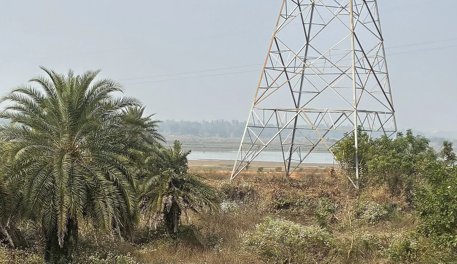 The Rushikulya river in Ganjam district at normal flow, December 2025 file photo