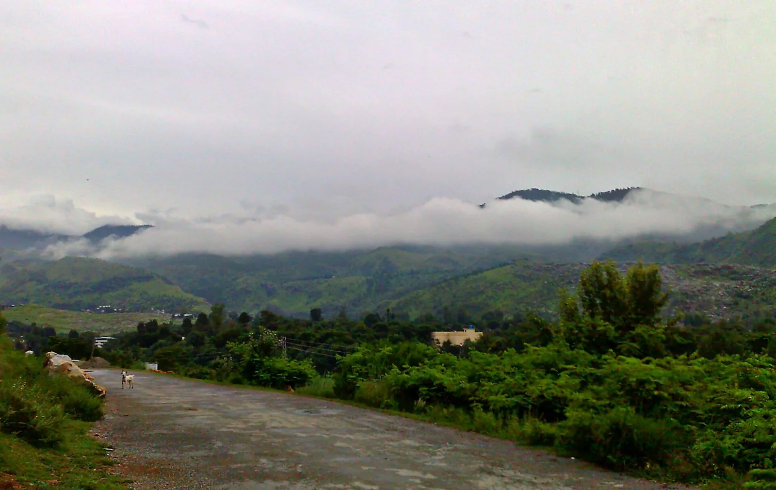 Valley of Abbottabad in Pakistan, where Osama bin Laden was killed in 2011