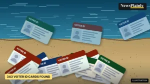 Voter ID cards illustration: generic ID cards scattered on a riverbank and in the water