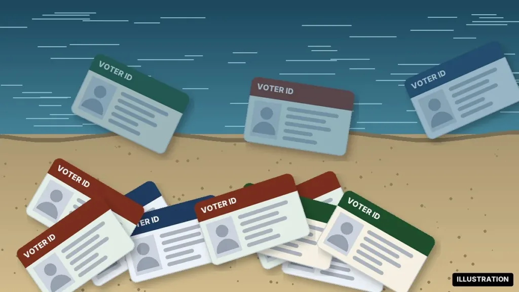 Voter ID cards illustration: generic ID cards scattered on a riverbank and in the water